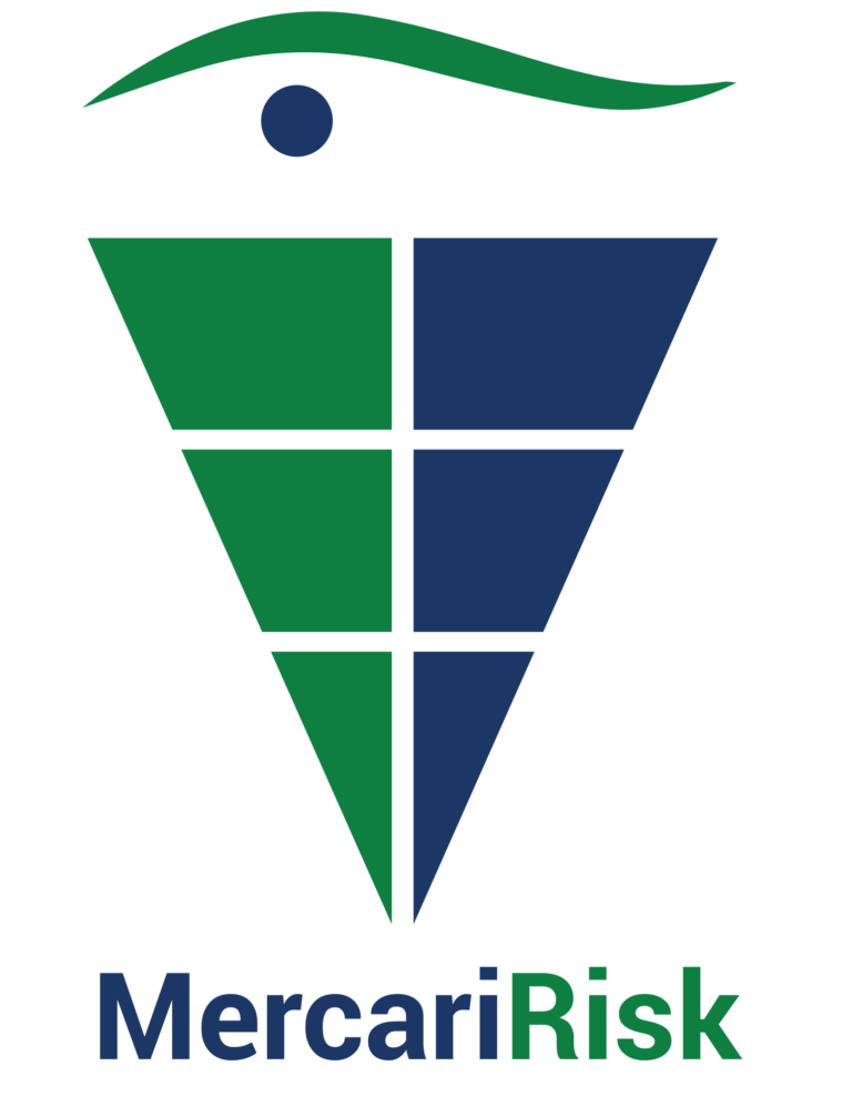 MercariRisk Logo 768x1005