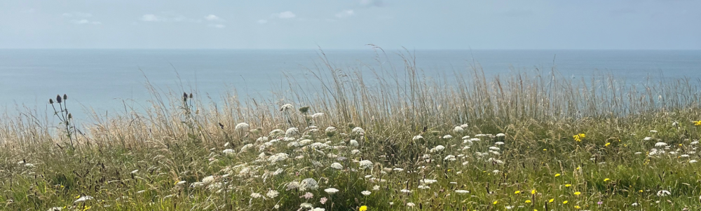 User banner image